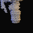 ATPase-render-detail.png ATP-Synthase-Protein