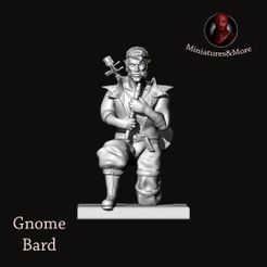 Gnomo-bardo-fronte.jpg Miniature Gnome Brd