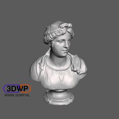 Bust_of_a_young_woman_-_Simone_Bianco.JPG Free STL file Bust Of A Young Woman - Simone Bianco (Statue 3D Scan)・Model to download and 3D print