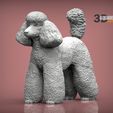 toy-poodle-1.jpg Toy poodle 3D printed model