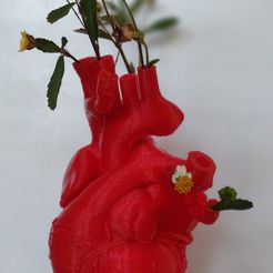 WhatsApp-Image-2022-05-20-at-1.01.15-PM-1.jpeg STL file FLOWER HEART・3D print object to download