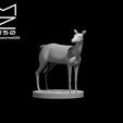 Deer_ad.JPG Misc. Creatures for Tabletop Gaming Collection