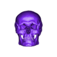 skull final.stl ORBITAL FLOOR IMPLANT