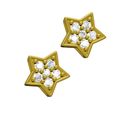 06.jpg Star Stud Earring