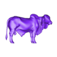 GYR BULL3.stl gyr bull gyr bull gyr bos indicus 印度