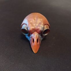 1614110042994.jpg "Owl Skull" : 3D file for sale