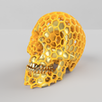 Honeycomb_Skull.png Honeycomb Skull