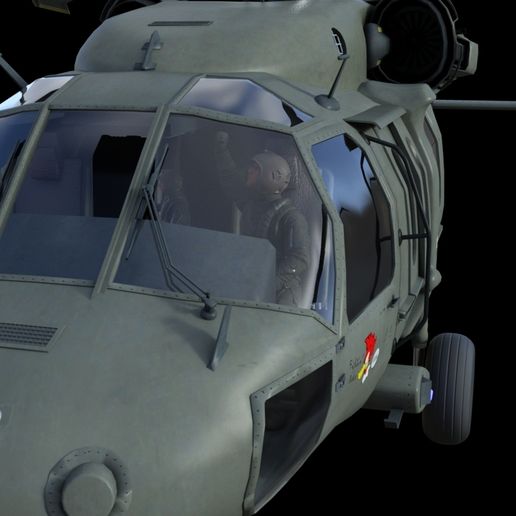 1.jpg Heli Pilot