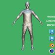 z10.jpg 3D Rigged Francesco Acerbi Inter Milan 2023