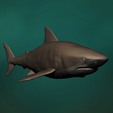 2.png Bull Shark