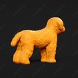 1925-Bichon_Frise_Pose_01.jpg Bichon Frise Dog 3D Print Model Pose 01