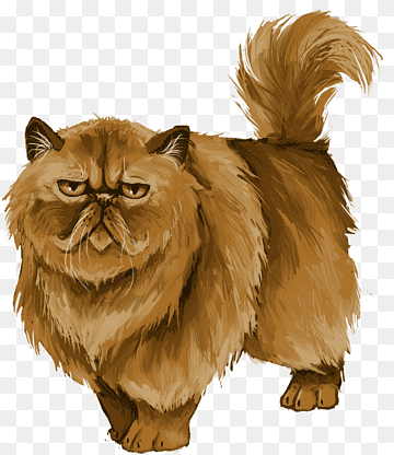 🐱 Crookshanks (Crookshanks, Harry Potter, Hermione, Cat)・ STL