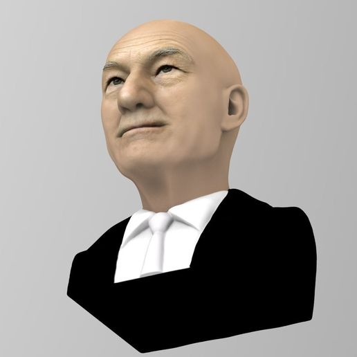 professor-x-charles-xavier-bust-ready-for-full-color-3d-printing-3d-model-obj-mtl-fbx-stl-wrl-wrz-1.jpg Professor X Charles Xavier from X-Men bust full color 3D printing