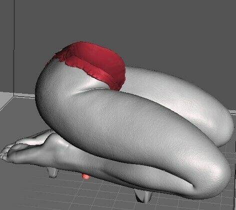 C-CFK-en-tetas-10-piernas.jpg CFK LAWFARE