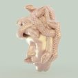 medusa.6.jpg Gorgon Medusa