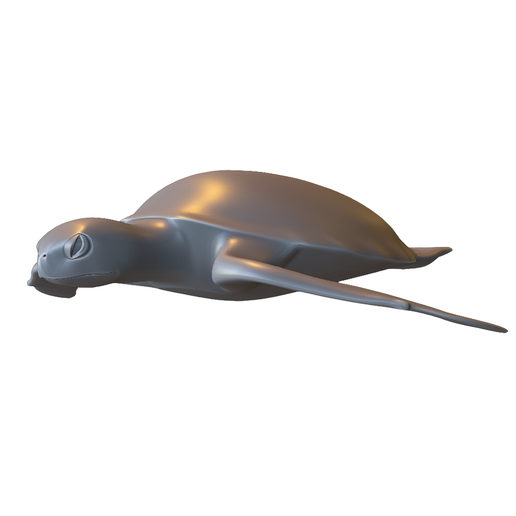 Sea Turtle Swimming Pose