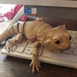 Bearded Dragon Articulated Toy, Print-In-Place Body, Snap-Fit Head, Cute Flexi