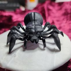 Spinni_front.jpg Archivo STL Spider It Takes Two・Diseño para descargar y imprimir en 3D