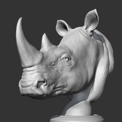01.png STL file Rhino Head AM12 3D print model・3D printer design to download