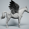 Pegasus-2.png Pegasus