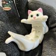 Flexi_Cat_3mf-3.jpg Flexi Holding Cat (Print-in-place)