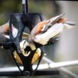 photo_2017-10-27_14-21-59.jpg STL file Bird Suet Feeder - 2020・3D printing design to download