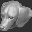 19.jpg Puppy of Dachshund dog head for 3D printing