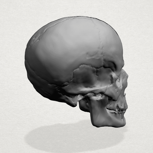 Skull - A04.png Download free file Skull 01 • Object to 3D print, GeorgesNikkei