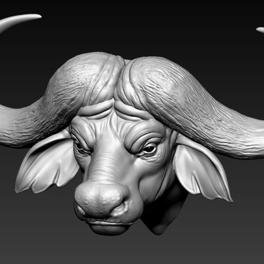 Download Stl File African Buffalo Head01 • Template To 3d Print ・ Cults