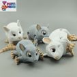 05.jpg Flexi Mouse – Rato articulado e engraçado | Modelo imprimível em 3D