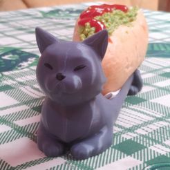 gato-porta-completo-00.jpeg CRIC PORTEUR COMPLET