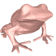 model-1.png Frog