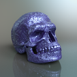 Scull-5b.png Orcish Rune Scull