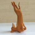 il_794xN.1963236264_g3s5.jpg HUND YOGA