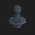 20_004.jpg Nikola Tesla 3D bust ready to print