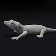22.png Gargoyle Gecko Pet Reptile