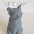 B.jpg Gato