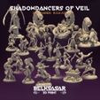 resize-portadascuadradas-shadowdancers-crusader.jpg Shadowdancers of Veil Nude - MINIATURES September 2022