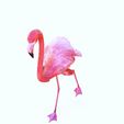 06.jpg DINOSAUR DINOSAUR 3d FLAMINGO DOWNLOAD FLAMINGO 3D MODEL ANIMATED - BLENDER - 3DS MAX - CINEMA 4D - FBX - MAYA - UNITY - UNREAL - OBJ -  FLAMINGO PINK DINOSAUR DINOSAUR FLAMINGO DINOSAUR BIRD