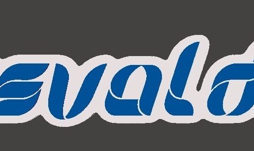 osvaldo para chop 3D model