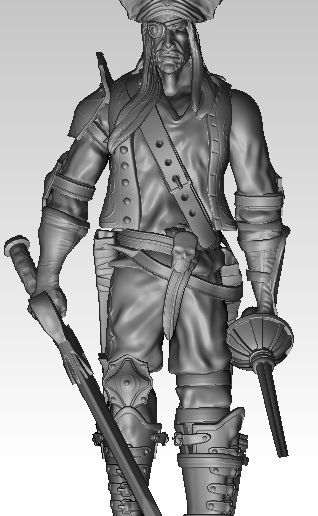 CaptainO'Malley.jpg Captain O'Malley Pirate Swashbuckler Rapier D&D Captain One piece Tabletop Eye patch