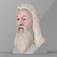 untitled.1741.jpg Dumbledore from Harry Potter bust for full color 3D printing