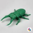 01.jpg Foldable Stag Beetle - Flexi