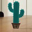 Cactus.jpg Cactus Charm!