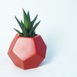 P2090275.jpg Файл STL Dodecaedro planter・Модель для загрузки и 3D печати
