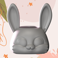 conejo-2.png Animals Heads 2 - Planter pots