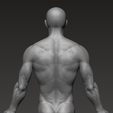 9.png Anatomically correct muscular male body Low and High Poly Low-poly 3D model