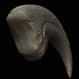 Allosaurus-Hand-Claw-Dinosaur-Fossil-Replica-3D-Print-File-STL-1.png Allosaurus Hand Claw - Dinosaur Fossil Replica - 3D Print File STL