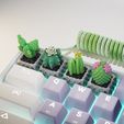 cactus_02.jpg Cactus keycaps - Mechanical Keyboard