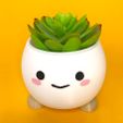 WhatsApp-Image-2024-02-10-at-16.46.30-3.jpeg Cheerful Smiling Pot – Perfect for Succulents
